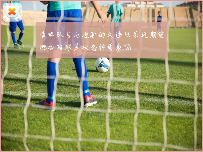黄蜂队与七连胜的久违联系近期重燃各路球员状态神勇表现